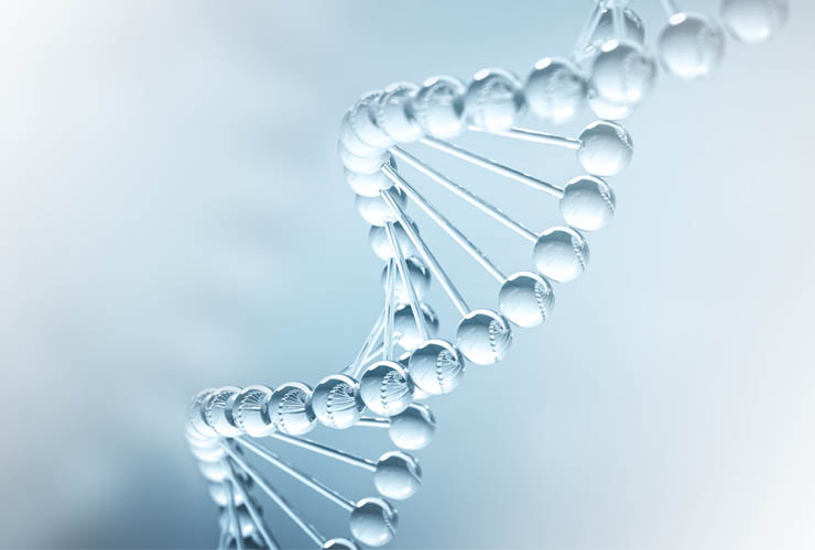 DNA & RNA Purification Kits and Reagents